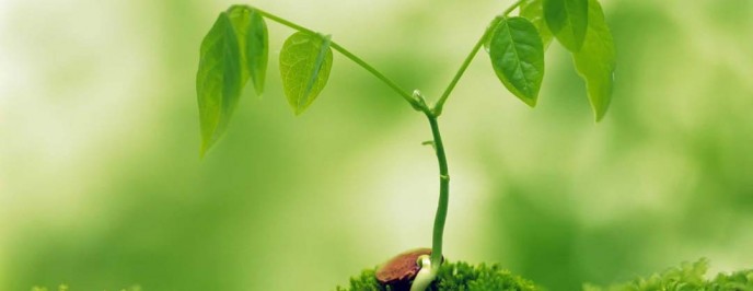 Words are Things---Medical Ones Too Words are Things---Medical Ones Too